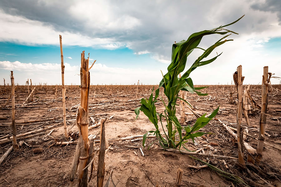 Climate Change & Community Resilience